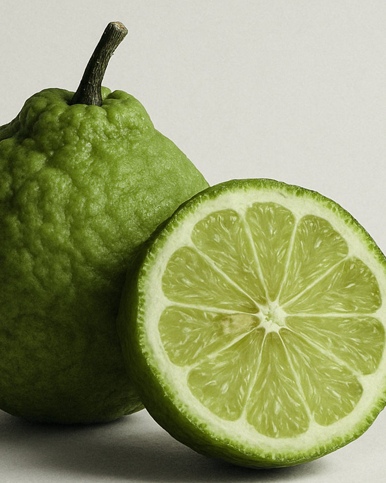 Bergamot Wood & Patchouli