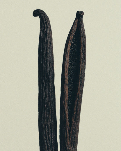 Vanilla & Nutmeg
